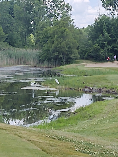 Golf Course «Cherry Creek Golf Club», reviews and photos, 52000 Cherry Creek Dr, Shelby Charter Township, MI 48316, USA
