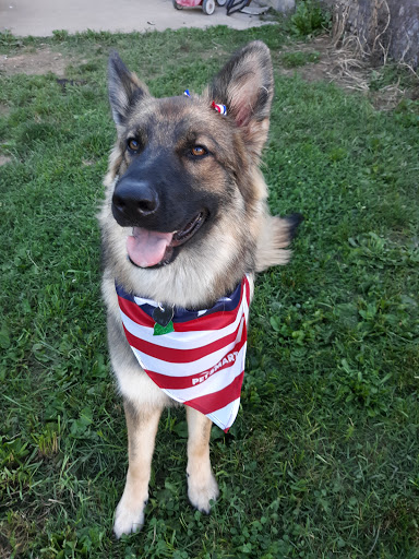 Pet Supply Store «PetSmart», reviews and photos, 2102 W Union Blvd #22A, Bethlehem, PA 18018, USA