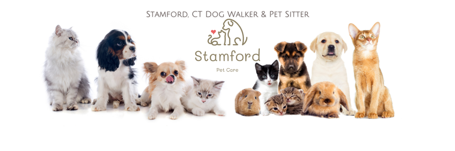 Stamford Pet Care