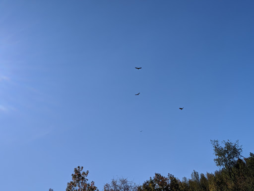 Nature Preserve «Rancocas Nature Center», reviews and photos, 794 Rancocas Mt Holly Rd, Westampton, NJ 08060, USA