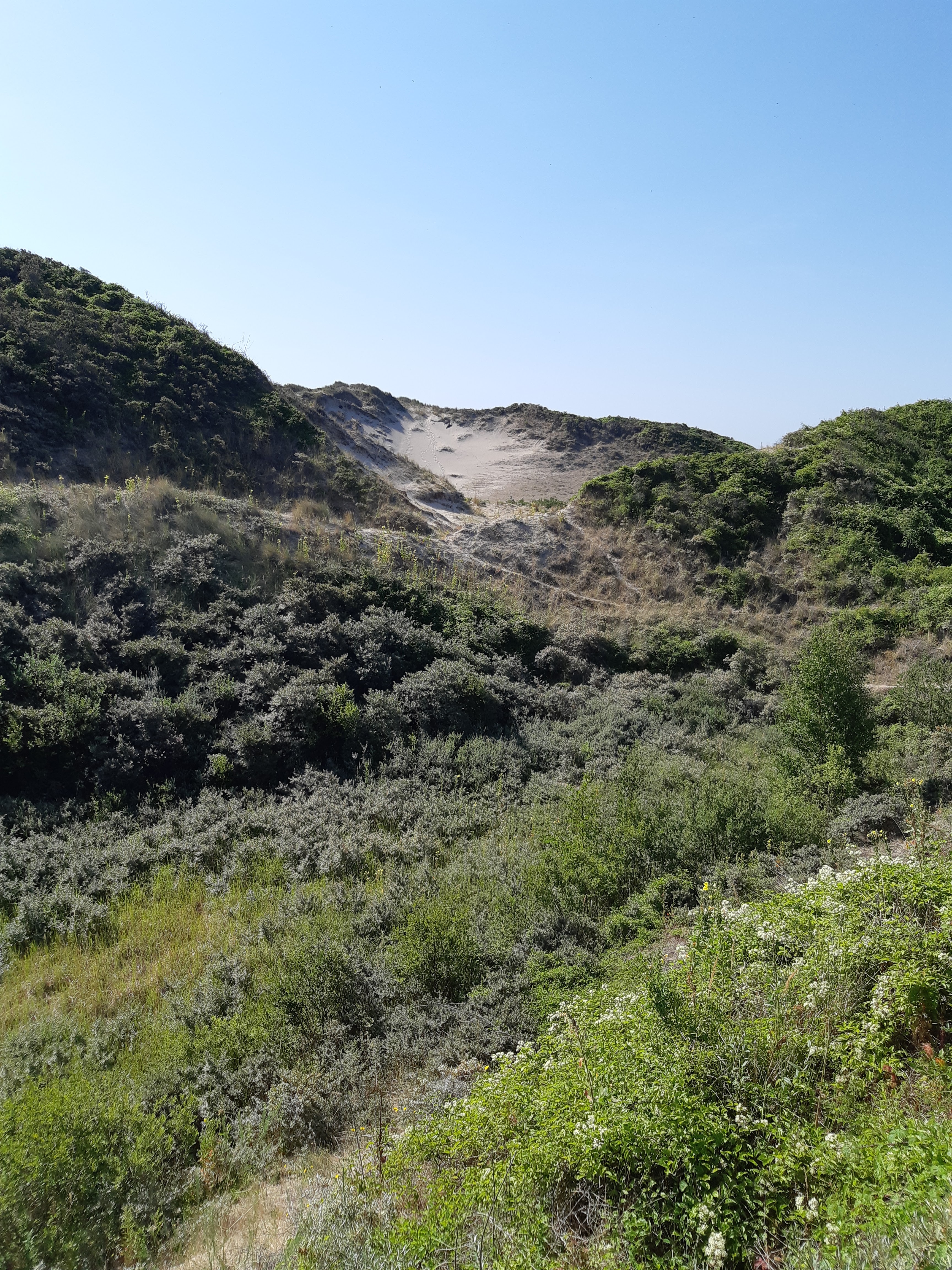 Photo n° 2 de l'avis de Stephanie.l fait le 25/07/2019 à 07:07