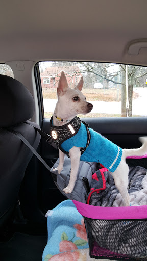 Pet Store «Tender Touch Pet Grooming», reviews and photos, 1902 Old Atlanta Rd, Griffin, GA 30223, USA