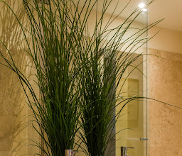 Hotel HauSuites photo