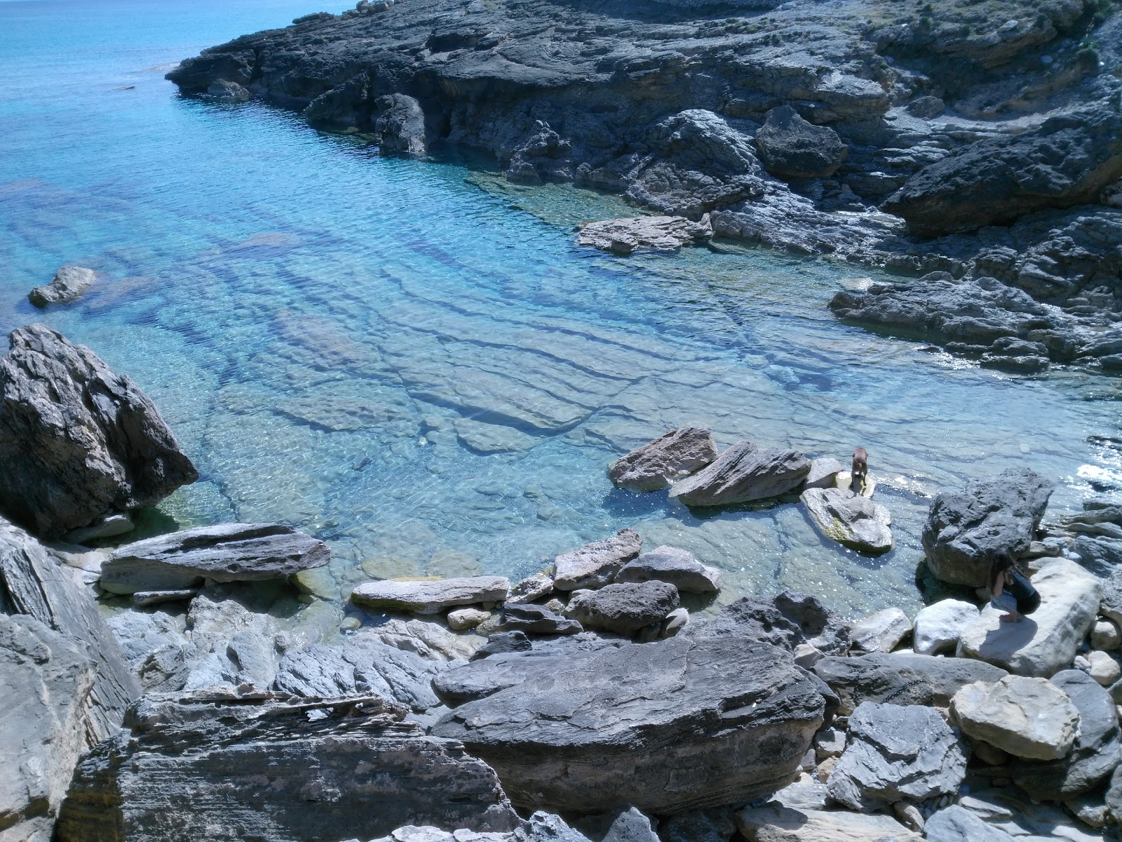 Photo of Cala Estreta with very clean level of cleanliness