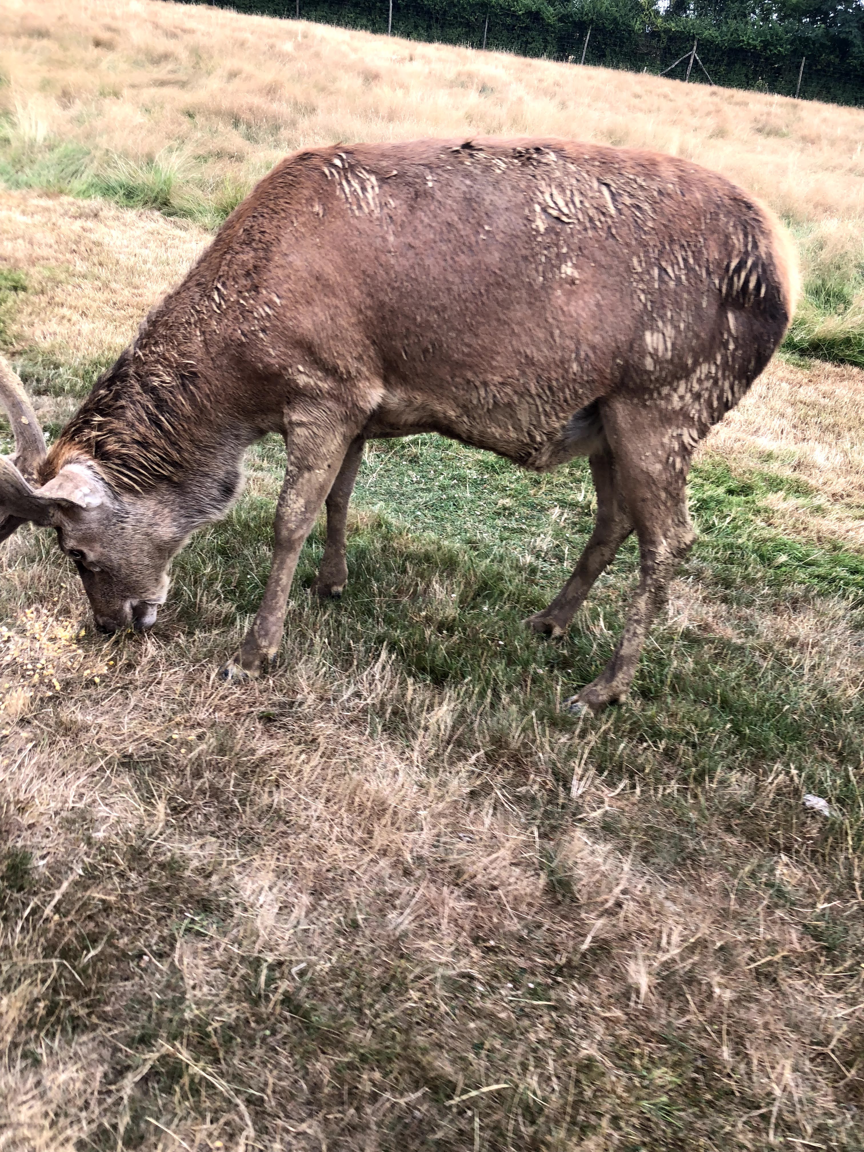 Photo n° 24 de l'avis de Julien.o fait le 27/07/2018 à 17:41