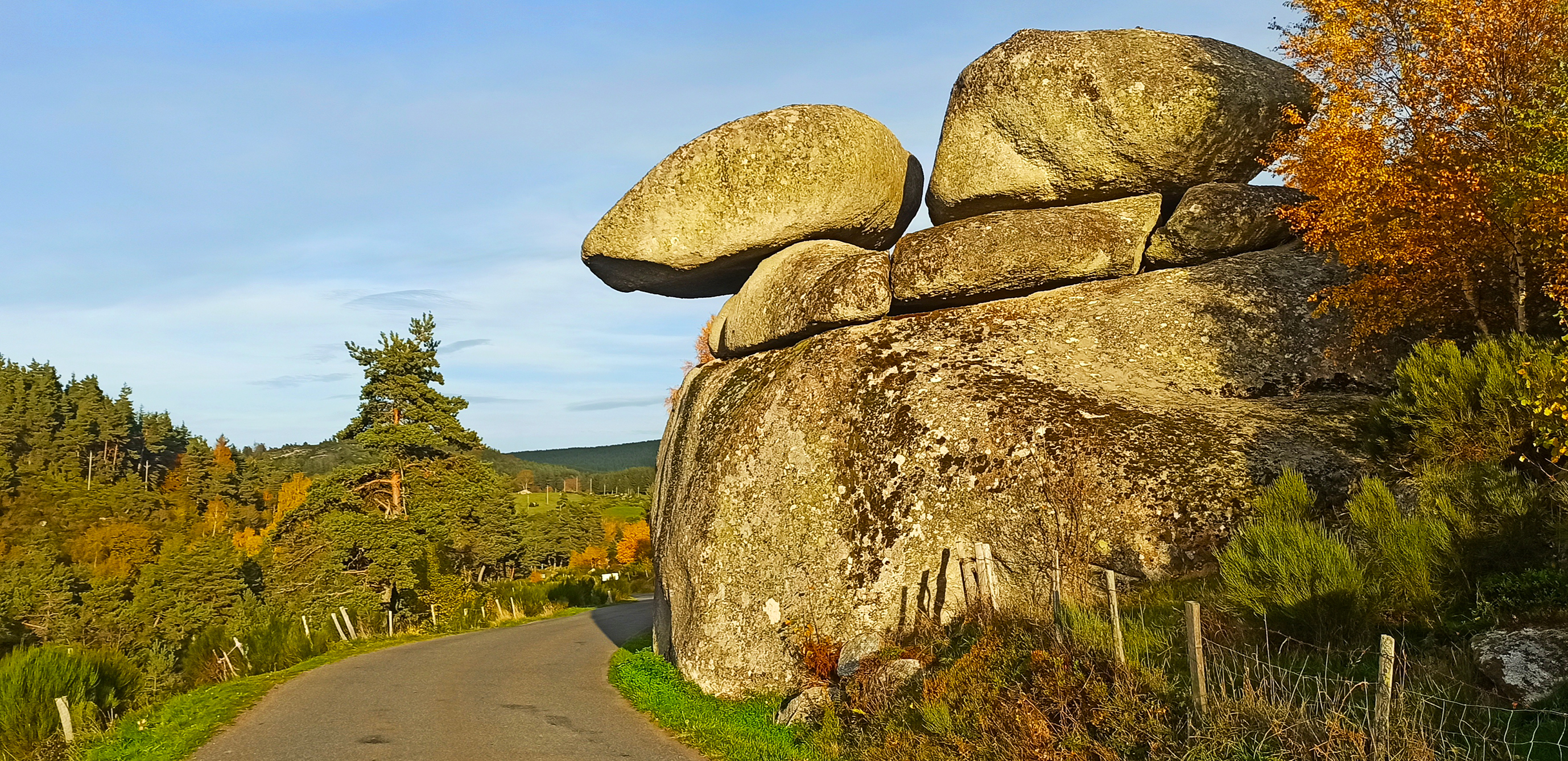 Photo n° 29 de l'avis de Guillaume.o fait le 30/10/2022 à 19:42