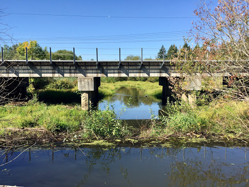 Nature Preserve «Beaverton Creek Wetlands Natural Area», reviews and photos, SW 153rd Dr, Beaverton, OR 97006, USA