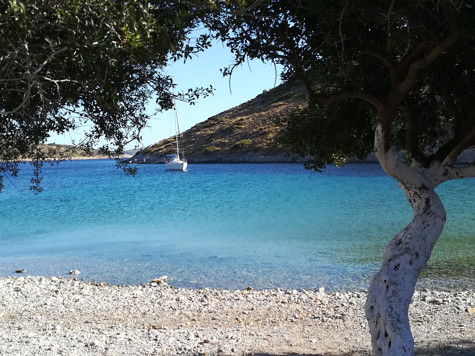 Foto de Agathonisi beach con muy limpia nivel de limpieza