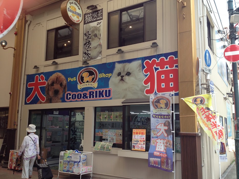 猫カフェ 猫喫茶 空陸家 長崎浜町店 の評判は レビューチェッカー