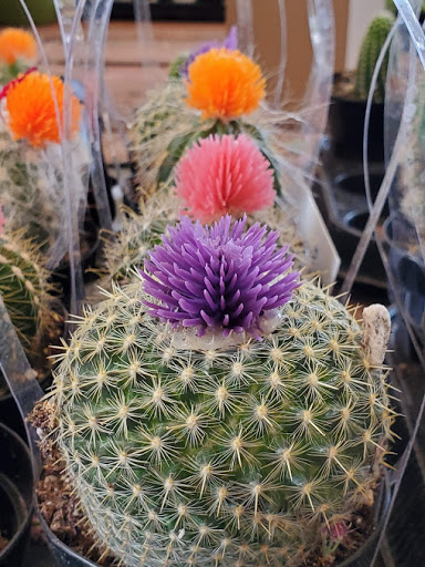 Home Improvement Store «The Home Depot», reviews and photos, 500 S Marengo Ave, Alhambra, CA 91803, USA