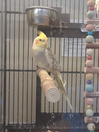 Pet Supply Store «PetSmart», reviews and photos, 2026 Lincoln Way E, Massillon, OH 44646, USA