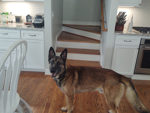 Museum «Country Music Hall of Fame and Museum», reviews and photos, 222 5th Ave S, Nashville, TN 37203, USA