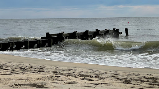 Lighthouse Tax Advisors