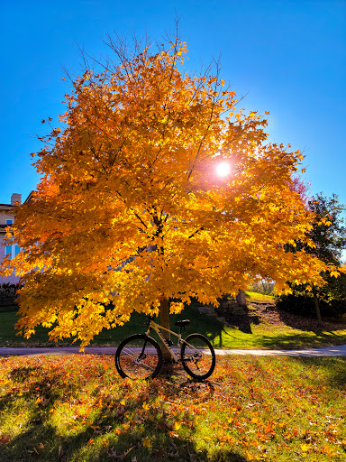 Forest Park Trailhead