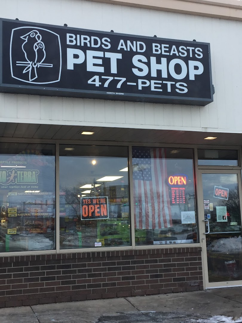 Birds & Beasts Pet Shop