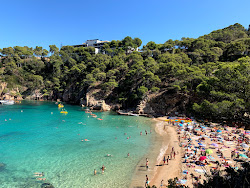 Photo de Plage d'Aiguablava avec un niveau de propreté de très propre