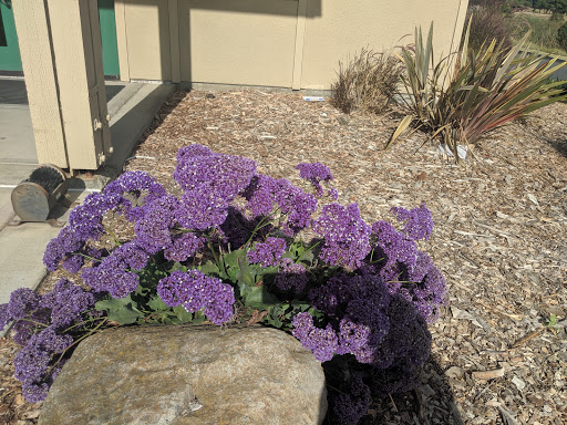 Public Golf Course «Shoreline Golf Links», reviews and photos, 2940 N Shoreline Blvd, Mountain View, CA 94043, USA