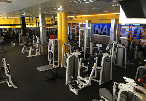 Gimnasio TNT en Granada, Granada