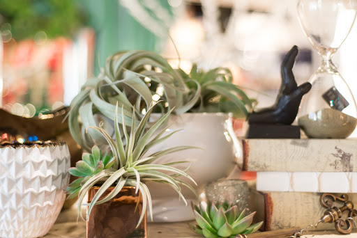 Florist «Trapp and Company», reviews and photos, 4110 Main St, Kansas City, MO 64111, USA