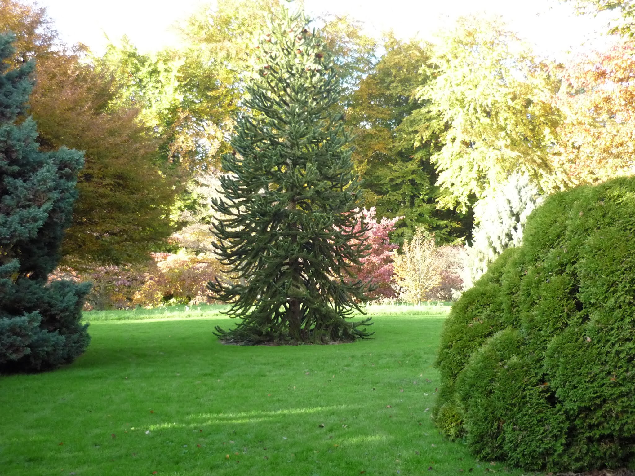 Photo n° 20 de l'avis de John.a fait le 16/07/2019 à 20:36