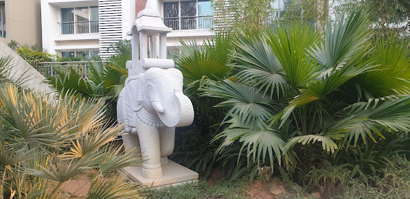 Google Maps image 12