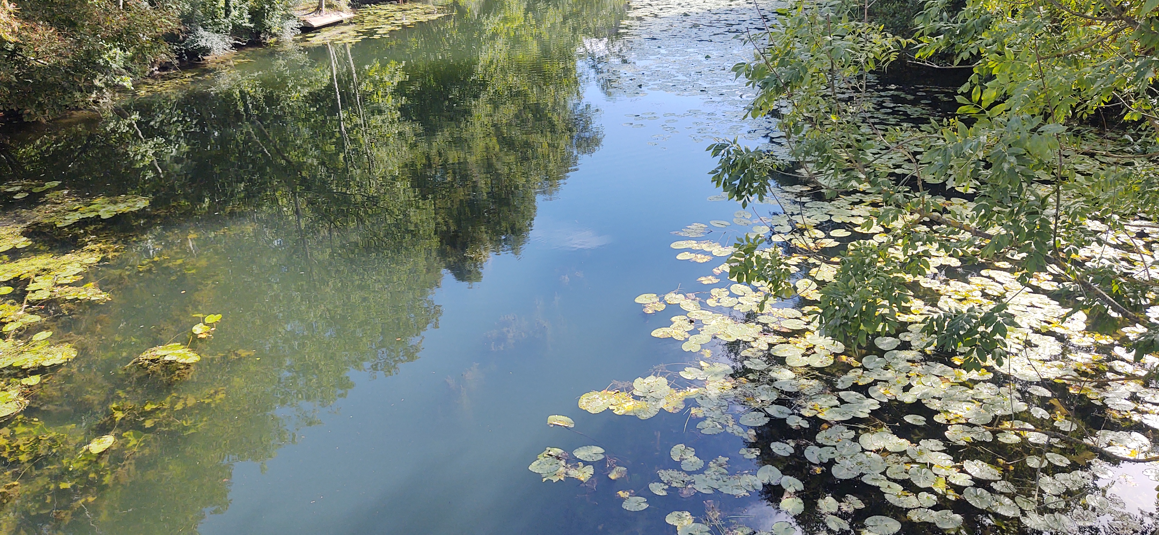Photo n° 18 de l'avis de Polski.l fait le 02/09/2020 à 14:34