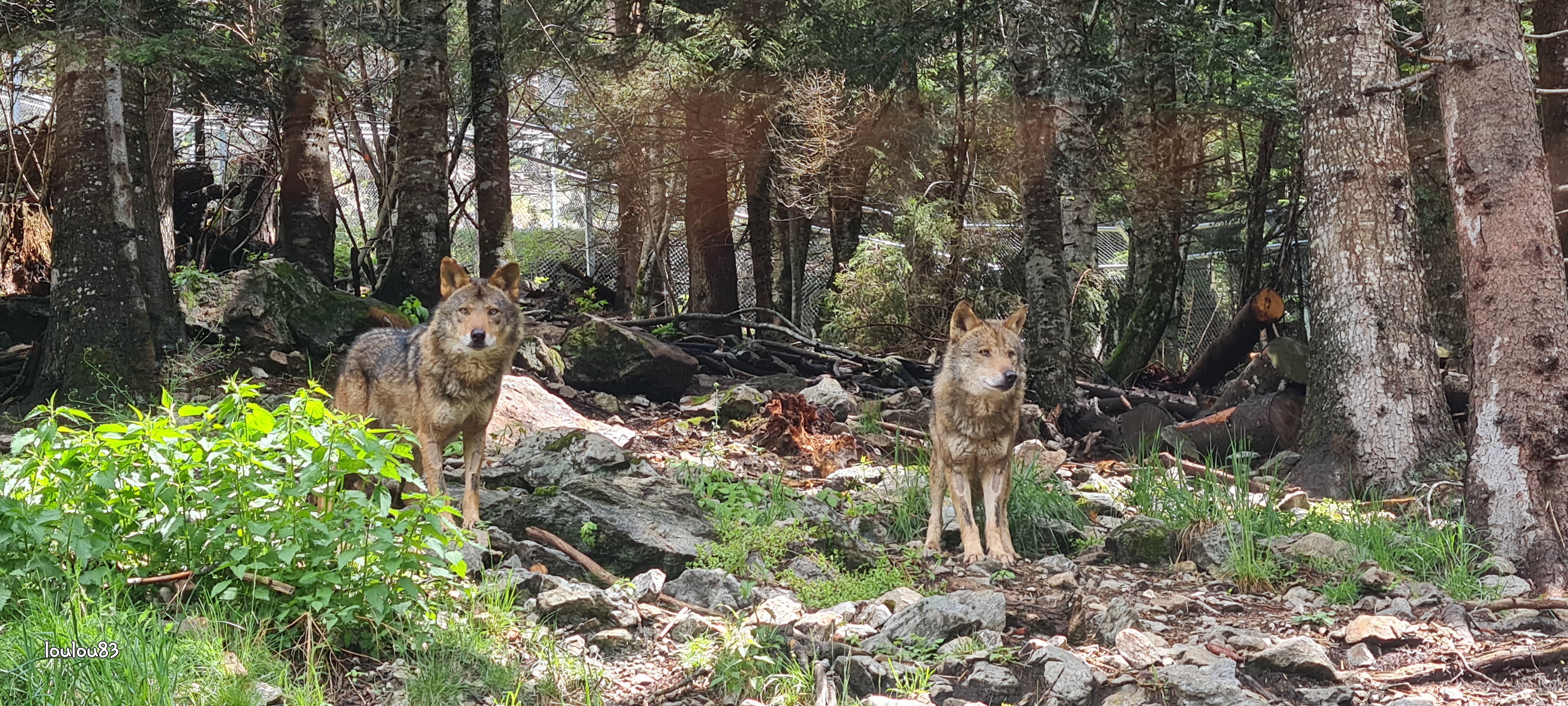 Photo n° 1 de l'avis de Jerome.o fait le 13/05/2023 à 14:10
