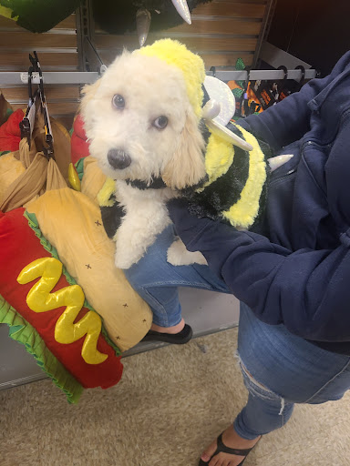 Pet Supply Store «PetSmart», reviews and photos, 4120 E 4th St, Ontario, CA 91764, USA