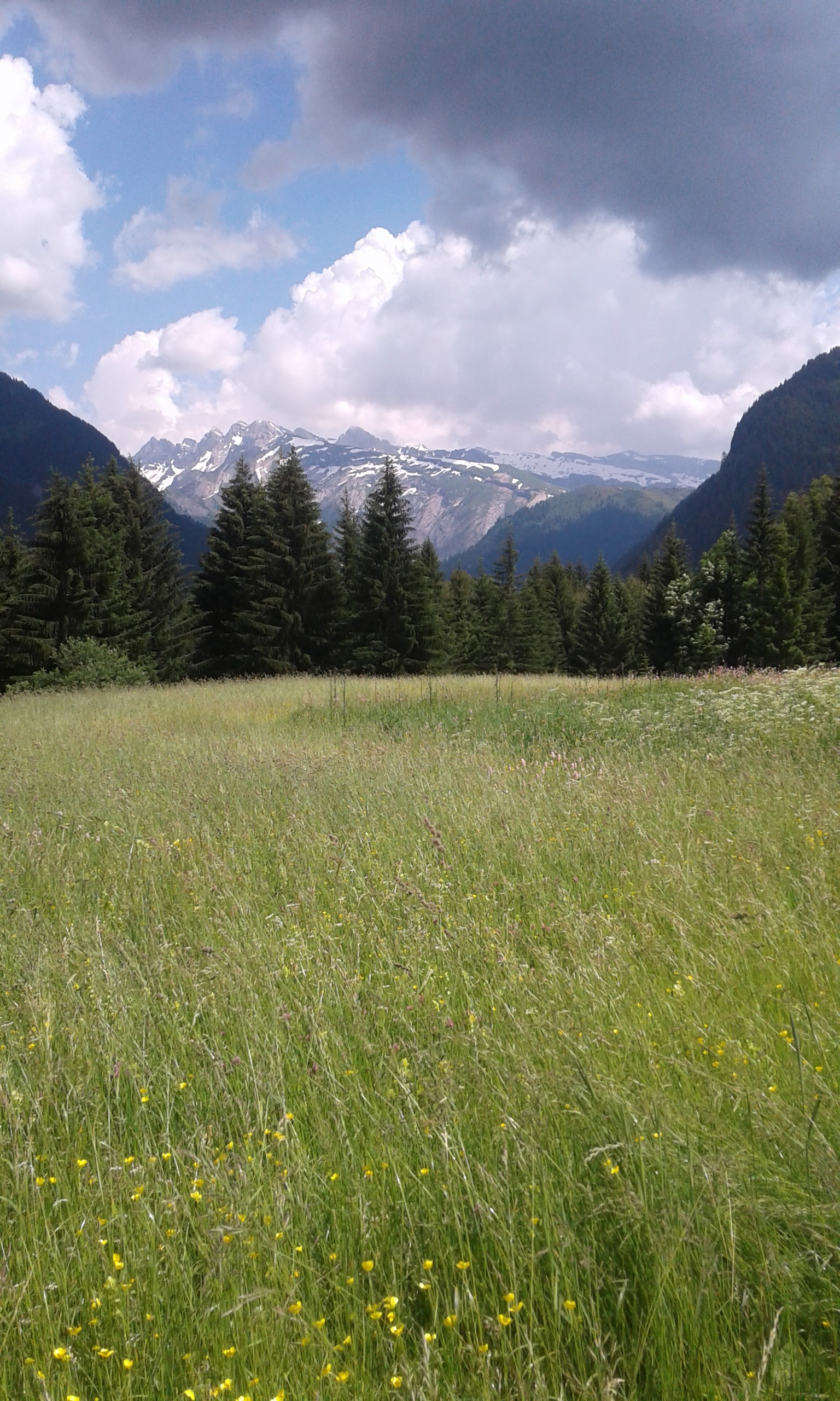 Photo n° 13 de l'avis de Cherzad.r fait le 24/06/2018 à 20:16