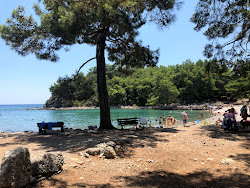 Fotografie cu Phaselis beach zonele de facilități