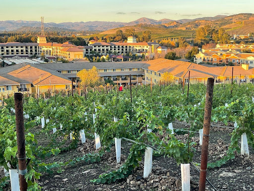 Meritage Resort And Spa image