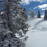 Photo n°1 de l'avis de Juergen.. fait le 19/04/2018 à 07:09 sur le  Albergo La Varella Di Canins Christian & C. Sas à San Ciascian