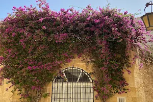 Bench with flowers image