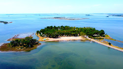 Isola Volpera Beach'in fotoğrafı çok temiz temizlik seviyesi ile