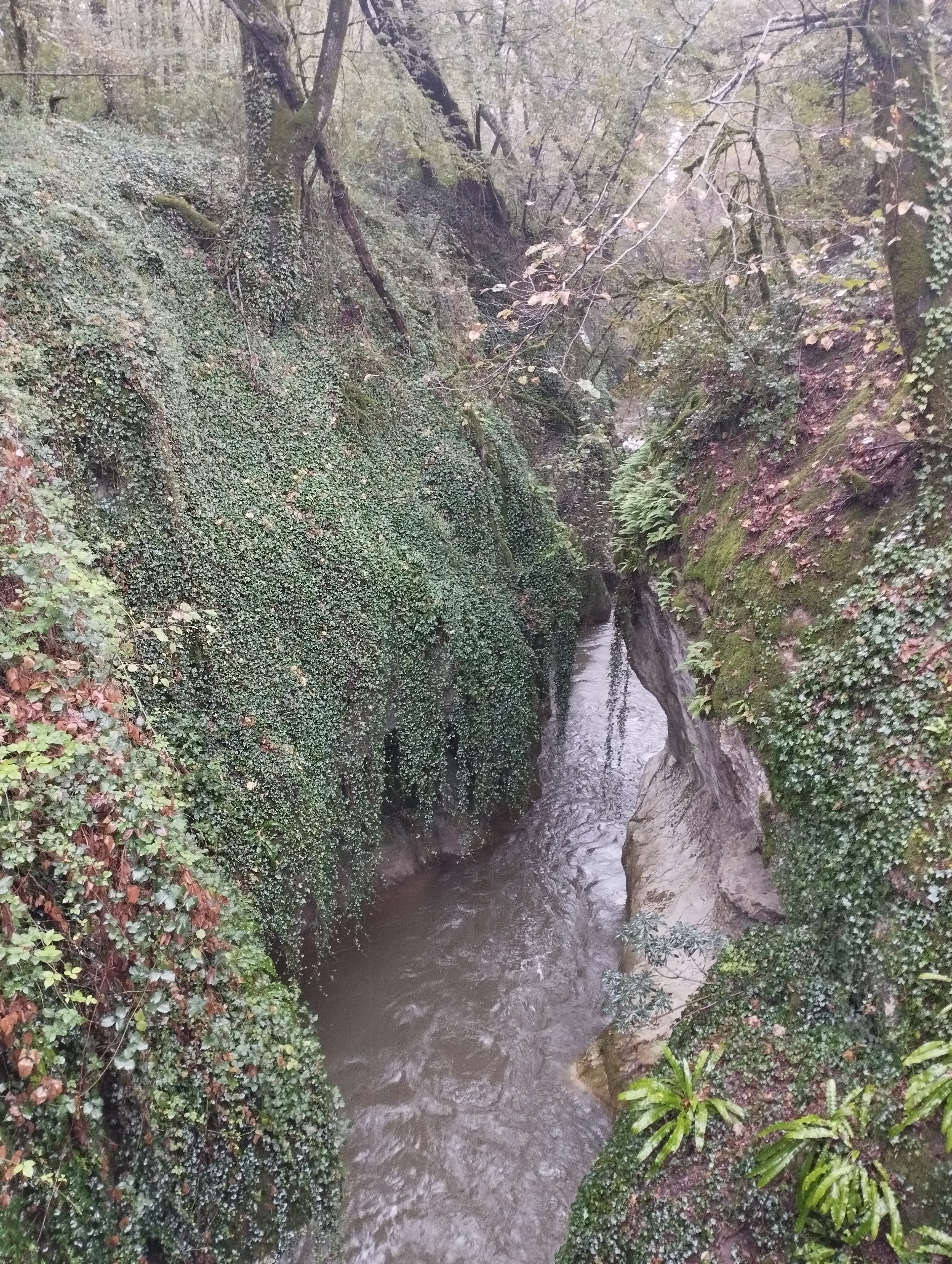 Photo n° 2 de l'avis de Explorateur. fait le 27/10/2023 à 14:27