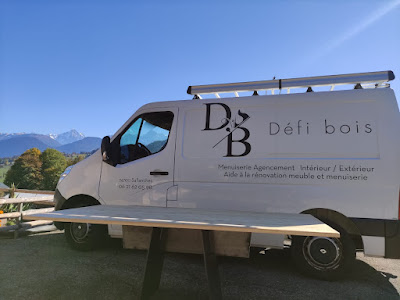 Defi bois /4810 Guêpes frelons nuisibles à Sallanches