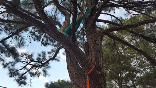 Tourist Attraction «South Shore Park», reviews and photos, 4555 Ragsdale Rd, Acworth, GA 30101, USA