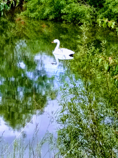 Public Golf Course «Clustered Spires Golf Club», reviews and photos, 8415 Gas House Pike, Frederick, MD 21701, USA