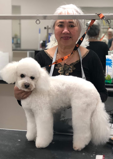 Puppy Love Pet Care Dog Grooming Melbourne