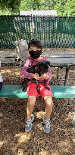 Park «Medway Dog Park», reviews and photos, 298 Village St, Medway, MA 02053, USA