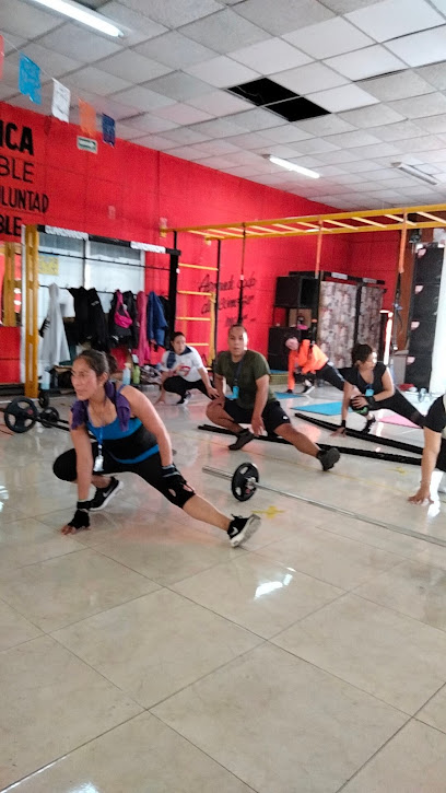 Centro de entrenamiento MQB Fitness Apizaco Tlaxca - C. Baltazar Maldonado, Centro, 90300 Apizaco, Tlax., Mexico