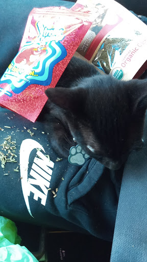 Pet Supply Store «Pet Supplies Plus», reviews and photos, 803 Hillcrest Rd, Mobile, AL 36695, USA