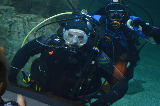 Dive Shop «HydroSports Dive and Travel», reviews and photos, 3846 River Rd N, Keizer, OR 97303, USA