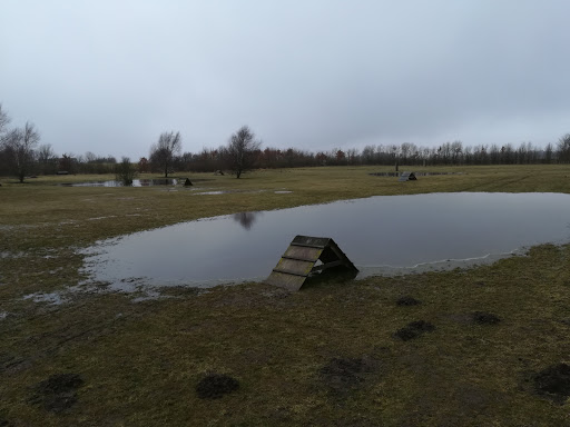 DCH Slagelse in Slagelse, Ringsted