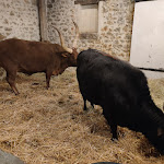 Photo n° 2 de l'avis de Sonia. fait le 27/11/2023 à 06:18 pour Marché de Noël de Janvry à Janvry