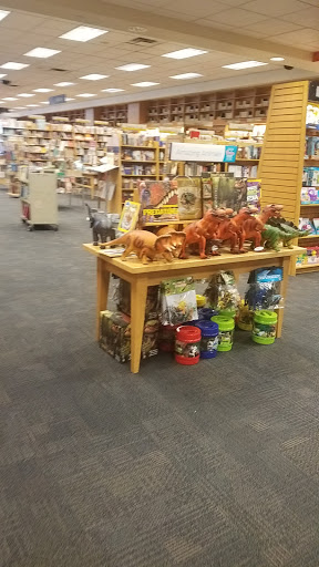 Book Store «Books-A-Million», reviews and photos, 6751 Strip Ave NW, North Canton, OH 44720, USA