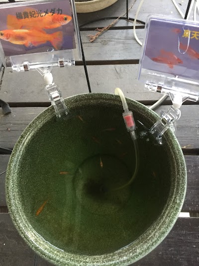 大岩歯科医院
