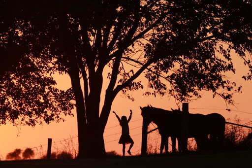 Personal Injury Attorney «Lombardi Law Firm», reviews and photos