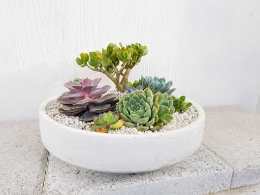 Florist «Paradise Valley Florist», reviews and photos, 6928 E 5th Ave, Scottsdale, AZ 85251, USA