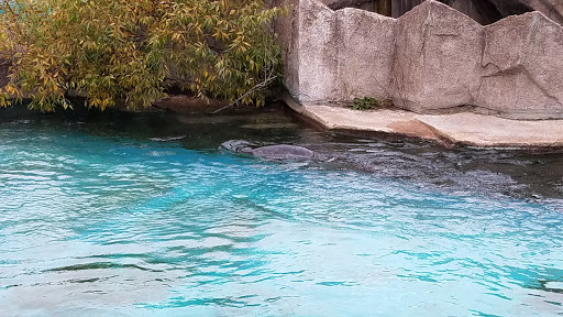 Zoo «Milwaukee County Zoo», reviews and photos, 10001 W Bluemound Rd, Milwaukee, WI 53226, USA